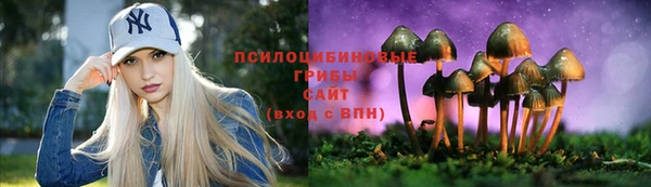 стафф Баксан