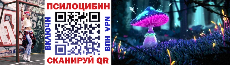 Галлюциногенные грибы Psilocybe  Вичуга 